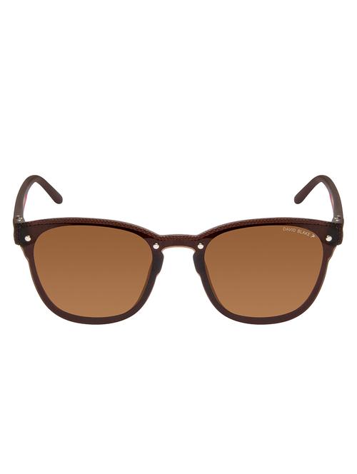 david blake brown wayfarer polarised uv protected sunglasses - 16250254 - Standard Image - 1