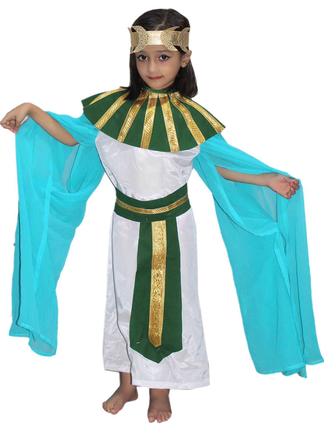 Multi Colored Polyester Costume