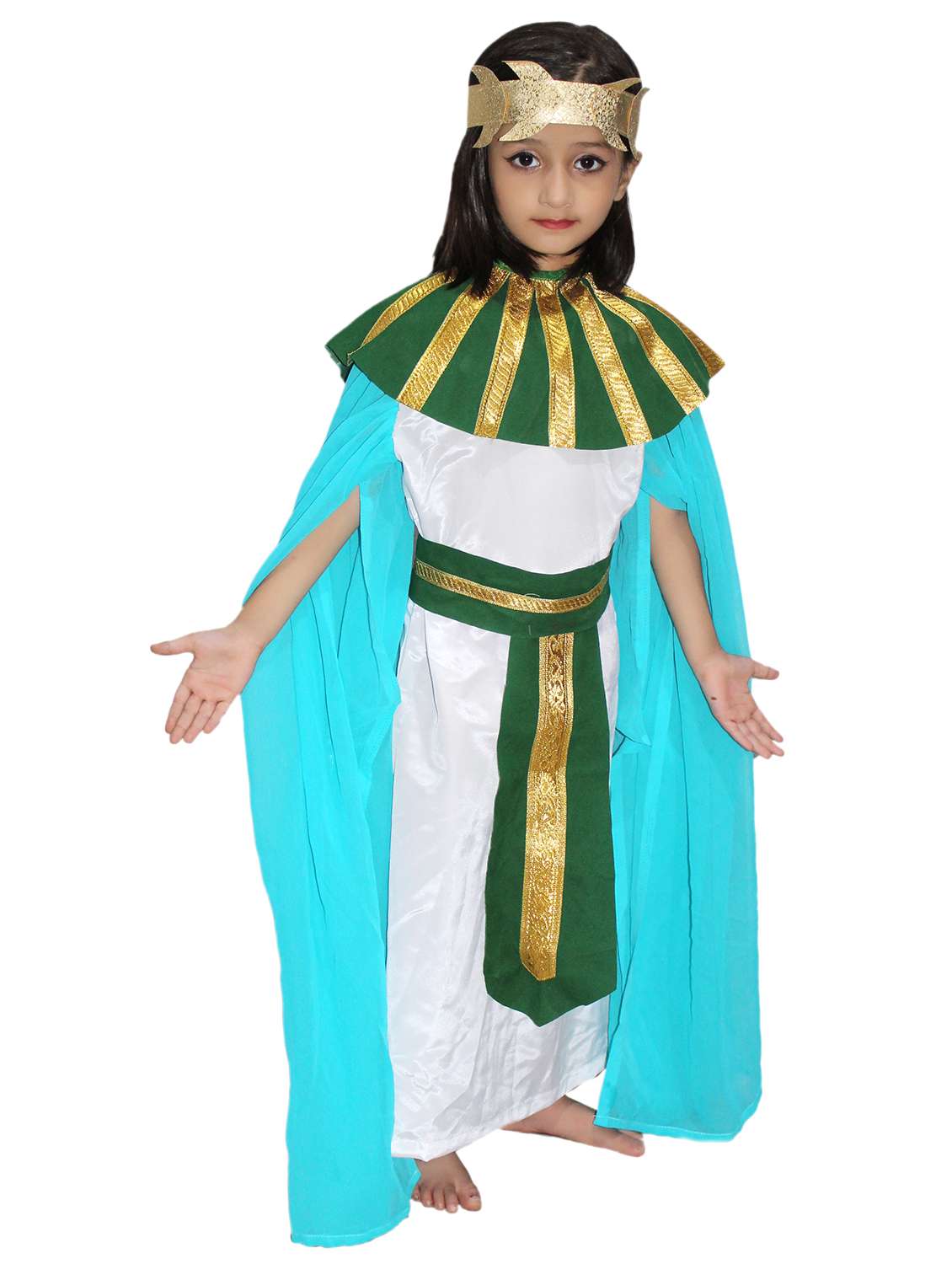 Multi Colored Polyester Costume