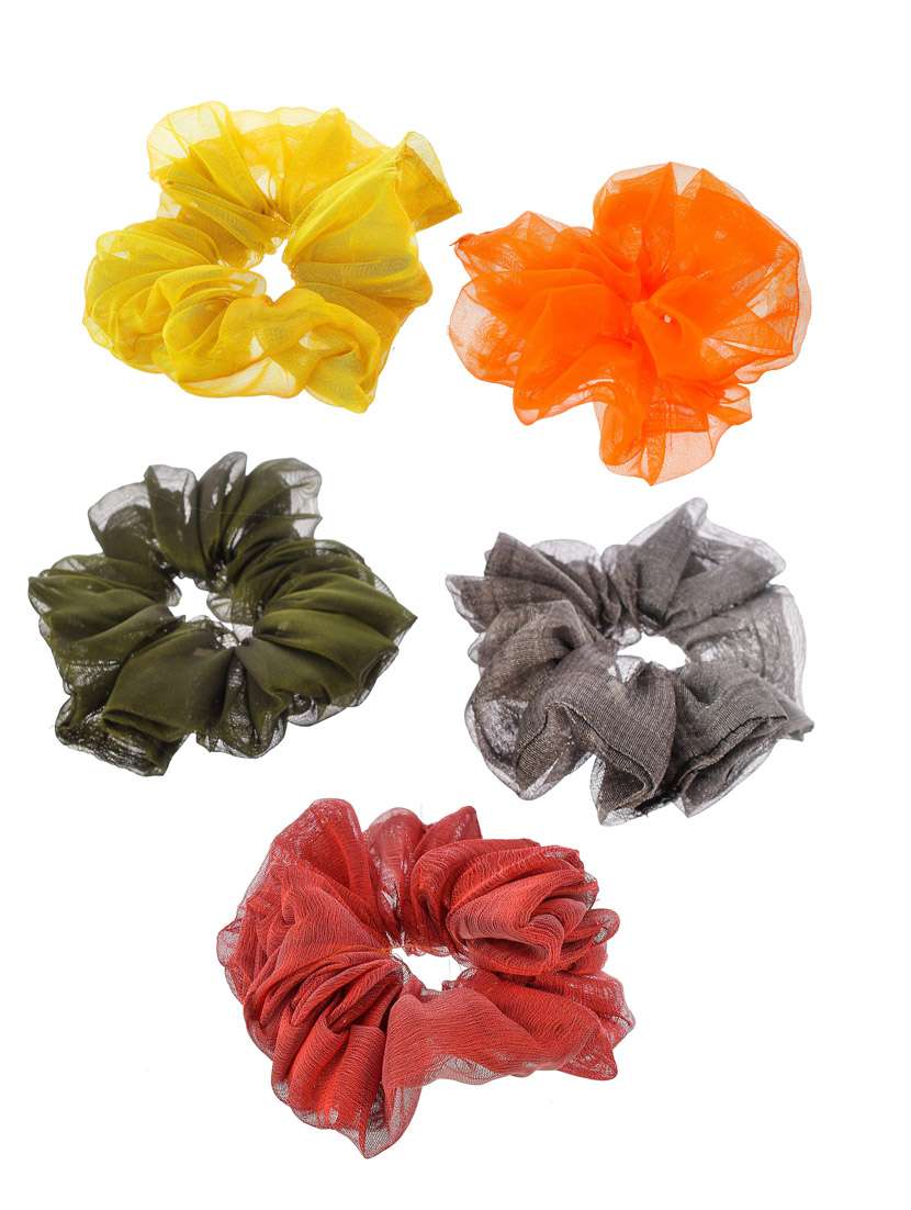 Set Of 5 Multi Colored Organza Scrunchies Ponytail Holders
