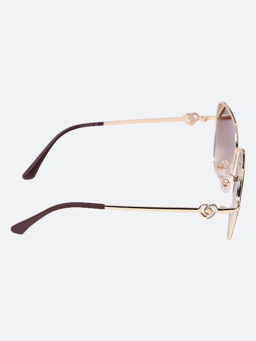 Men Aviator Brown Sunglasses