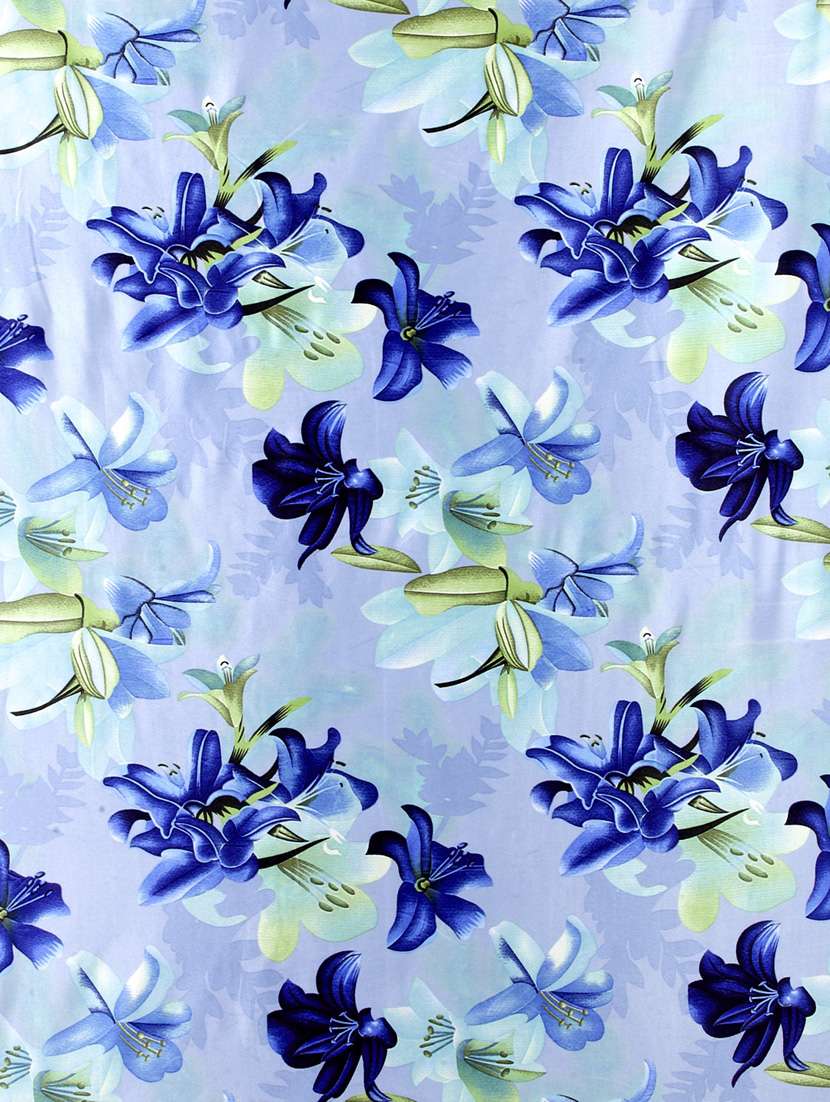 Pack Of 2 Blue Floral Printed With Eyelet Curtains