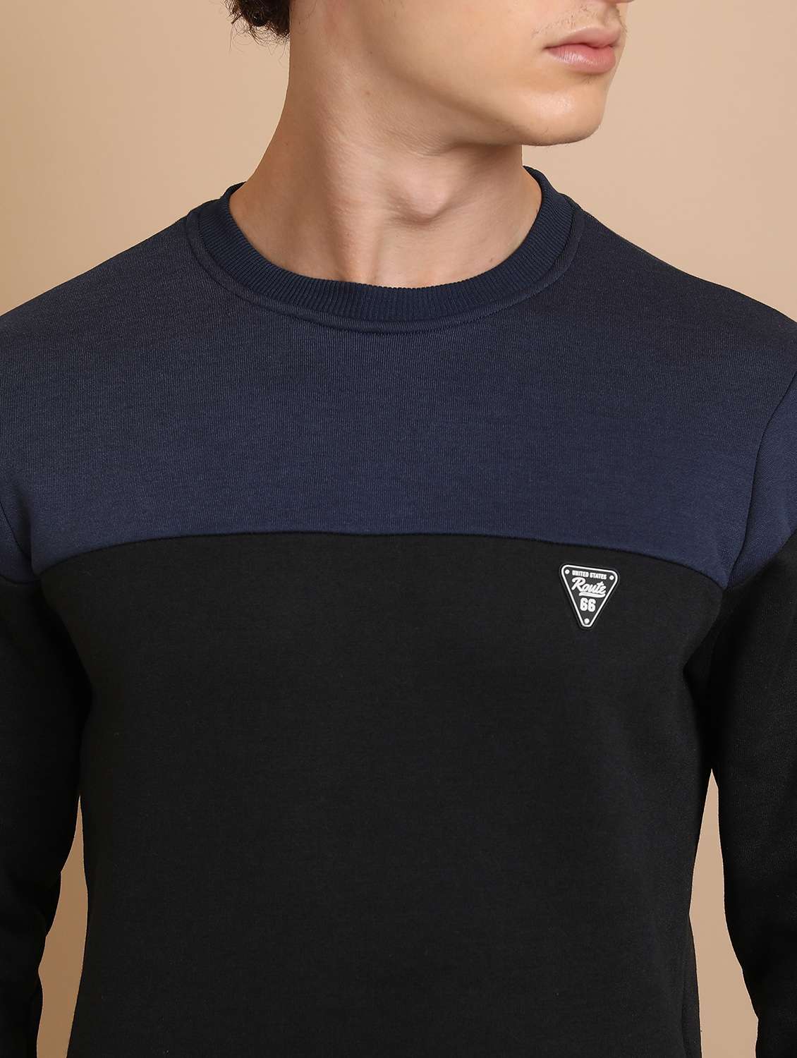 Men Long Sleeves Color Block Sweatshirt